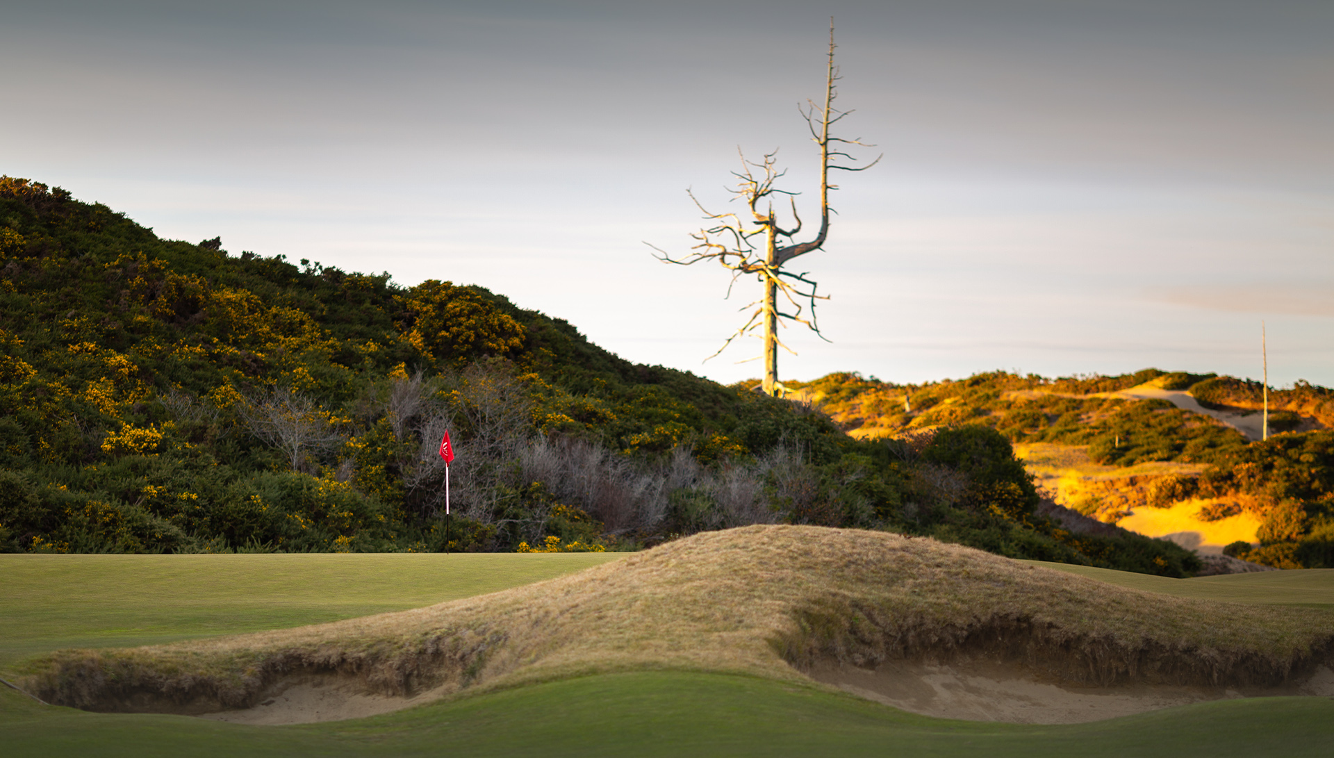 Old Macdonald golf course