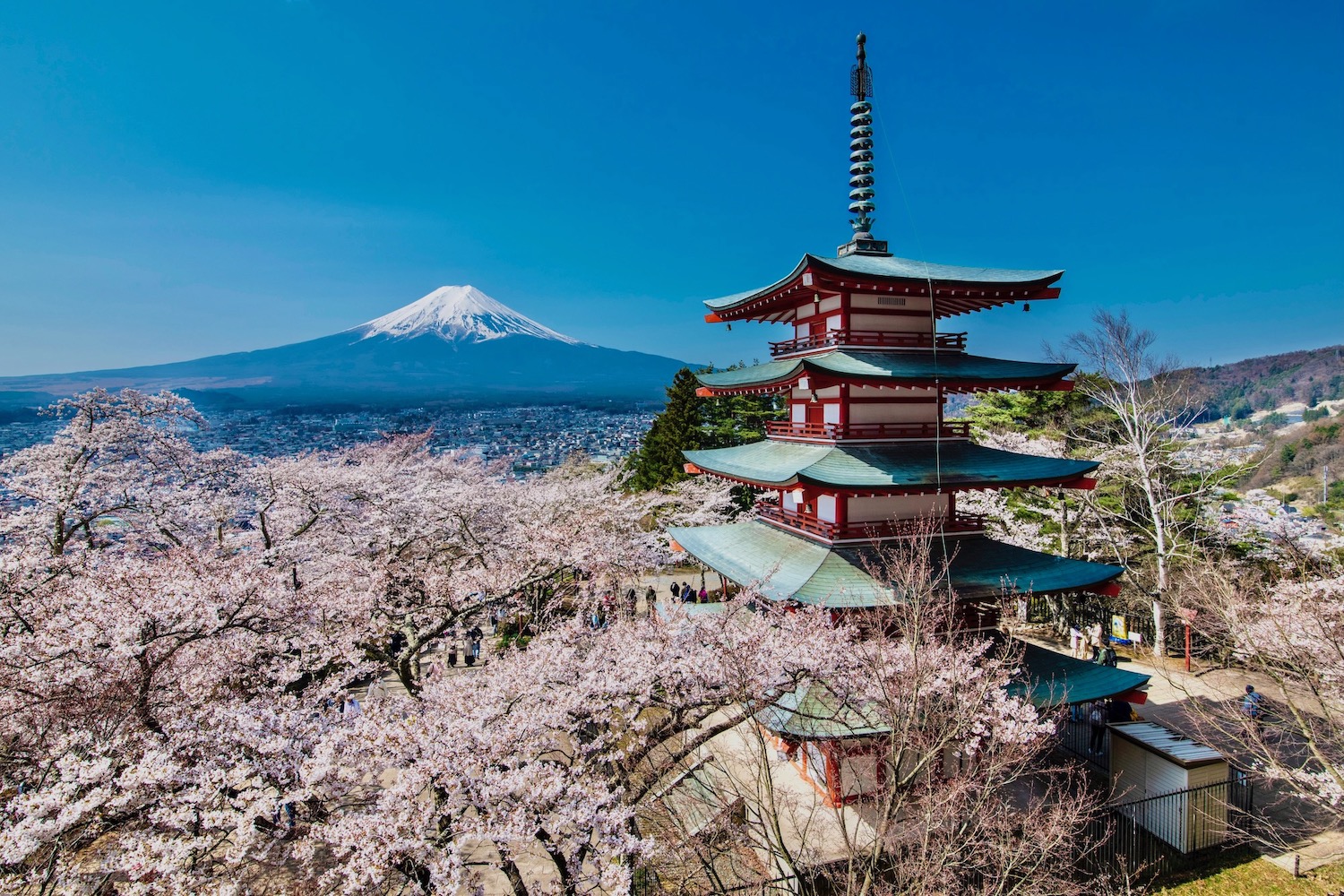 Chureito Pagoda and Mount Fuji in Japan