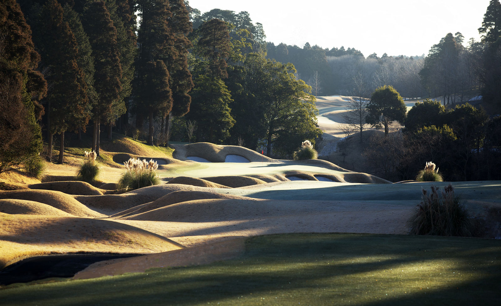 Caledonian Golf Club golf course
